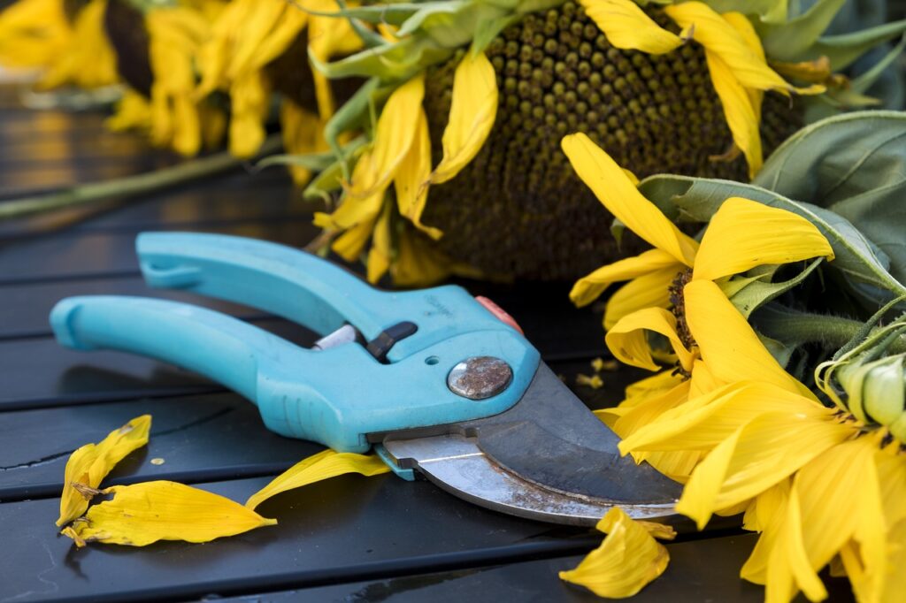 Wie pflege ich meine Gartenschere?